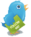 Follow Kate Morris on Twitter