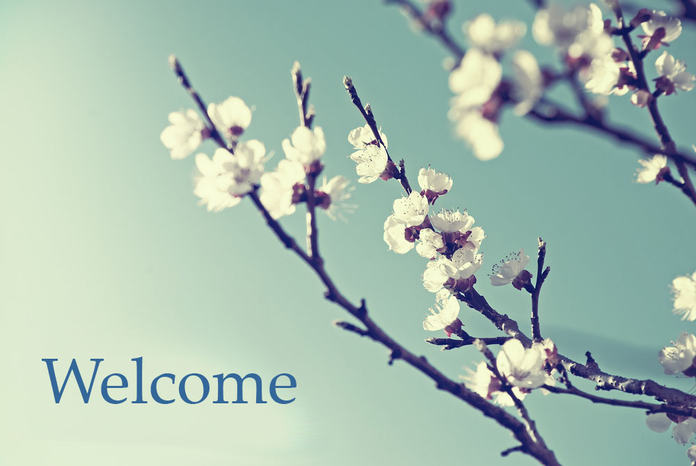 Kate Morris Welcome